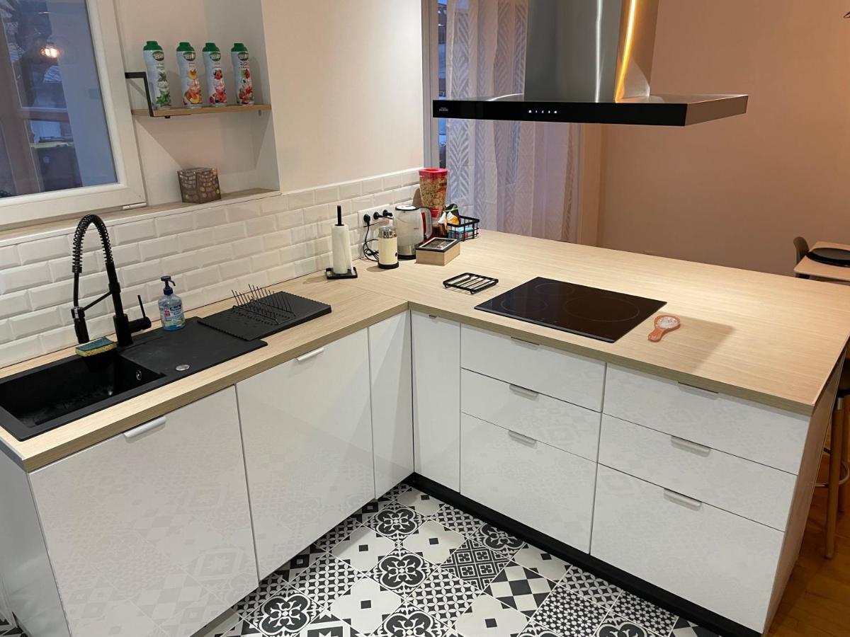 Appartement Du Lion Belfort Bagian luar foto